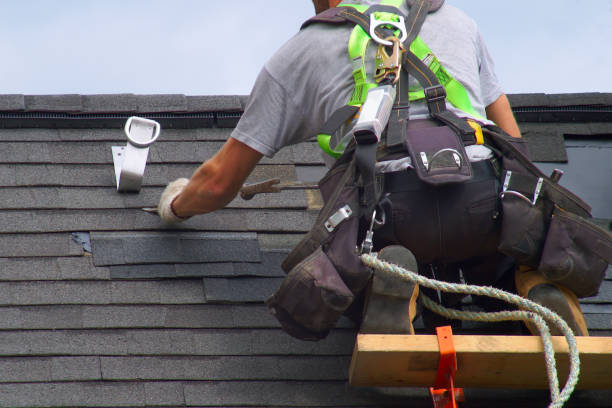 Best Roof Moss and Algae Removal  in Barview, OR